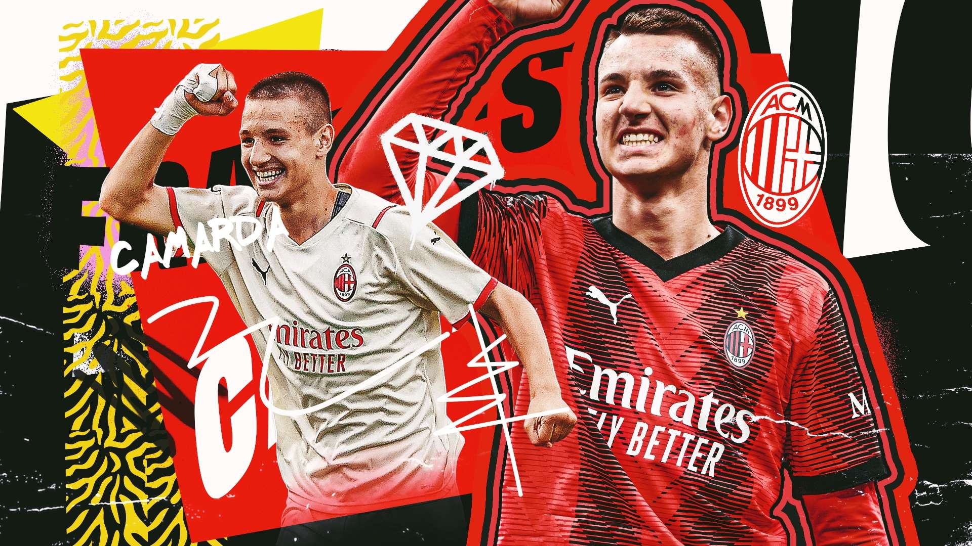 斑马军团 斑马军团