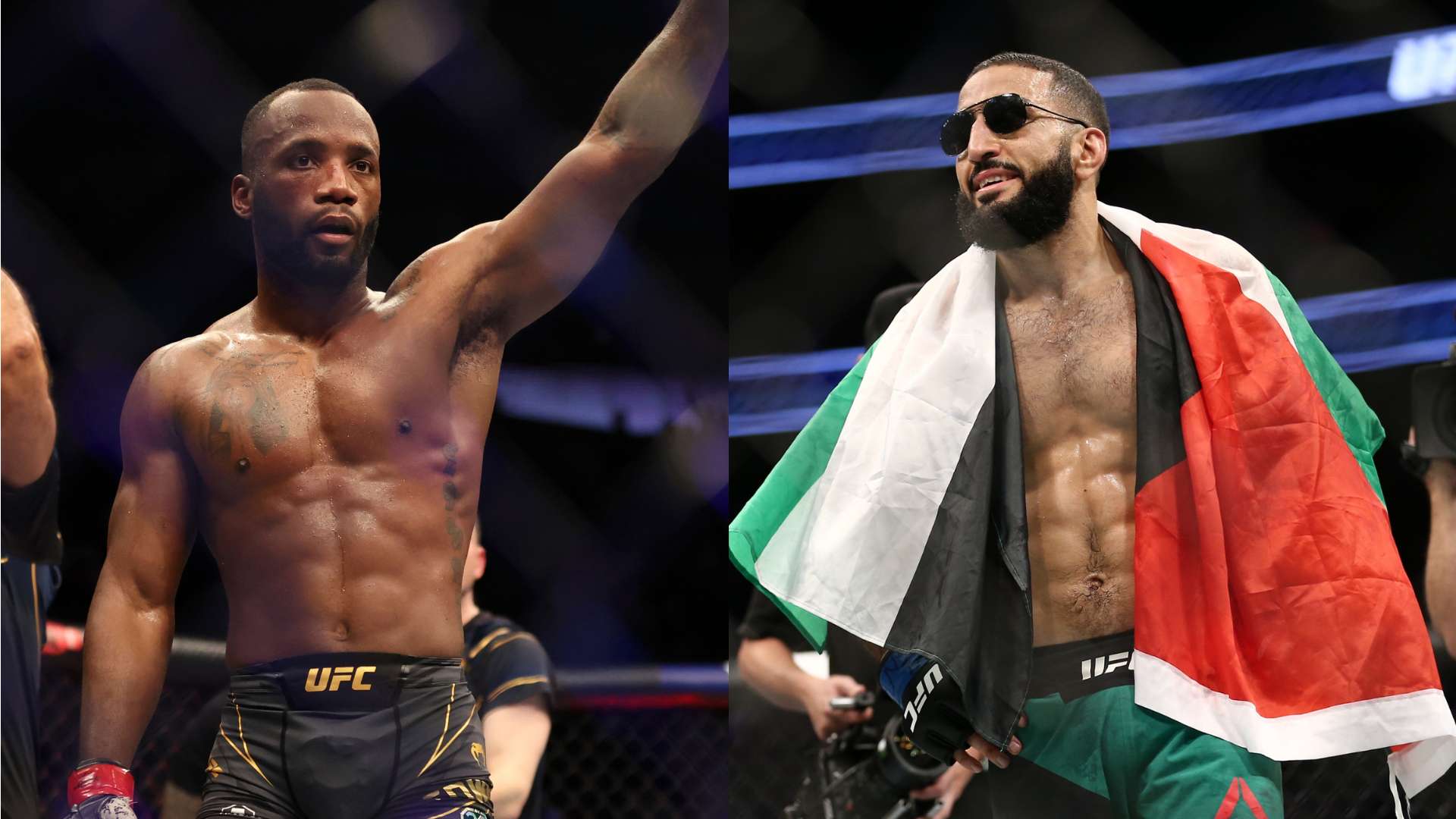 斑马军团 斑马军团